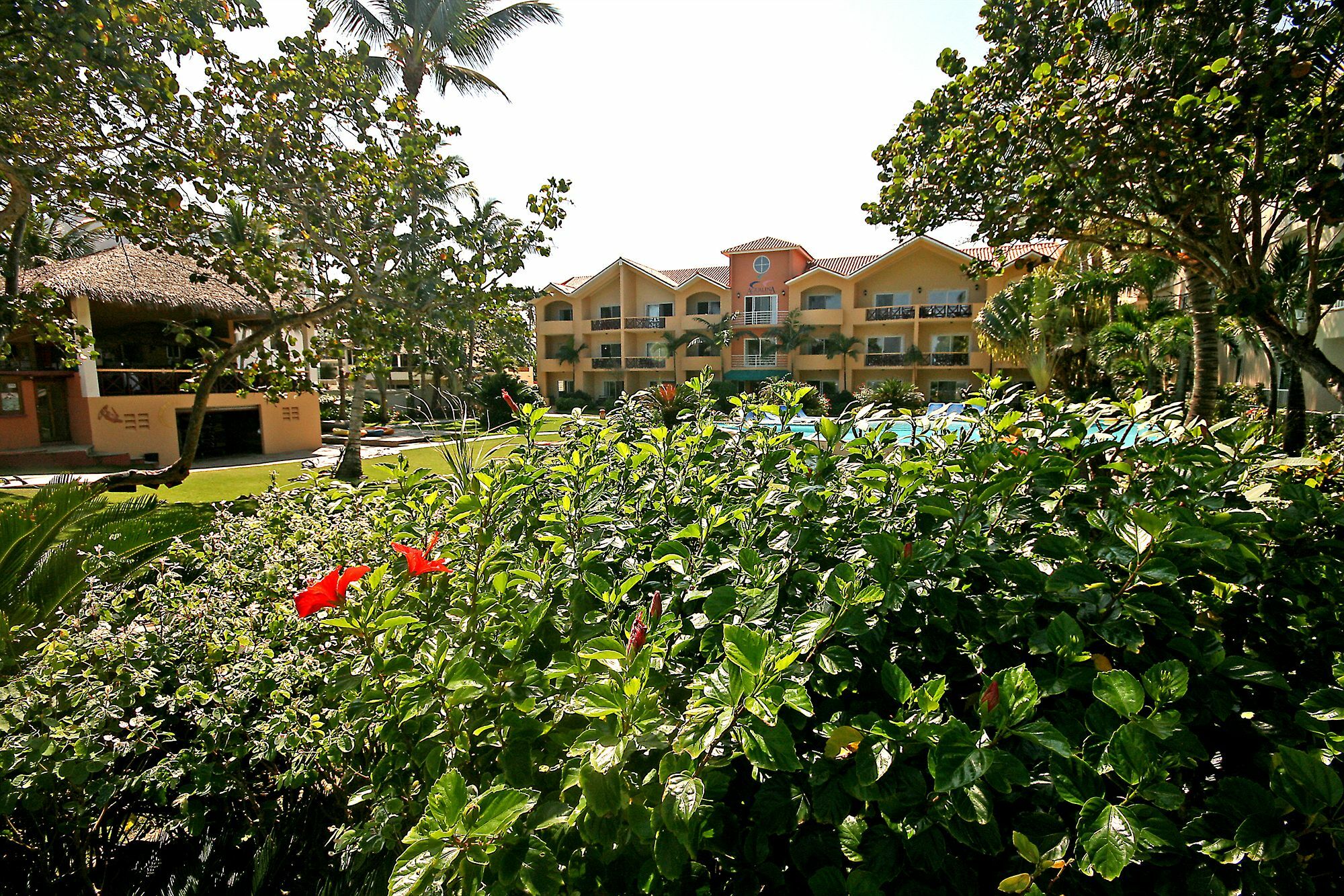 Agualina Kite Resort Cabarete Kültér fotó
